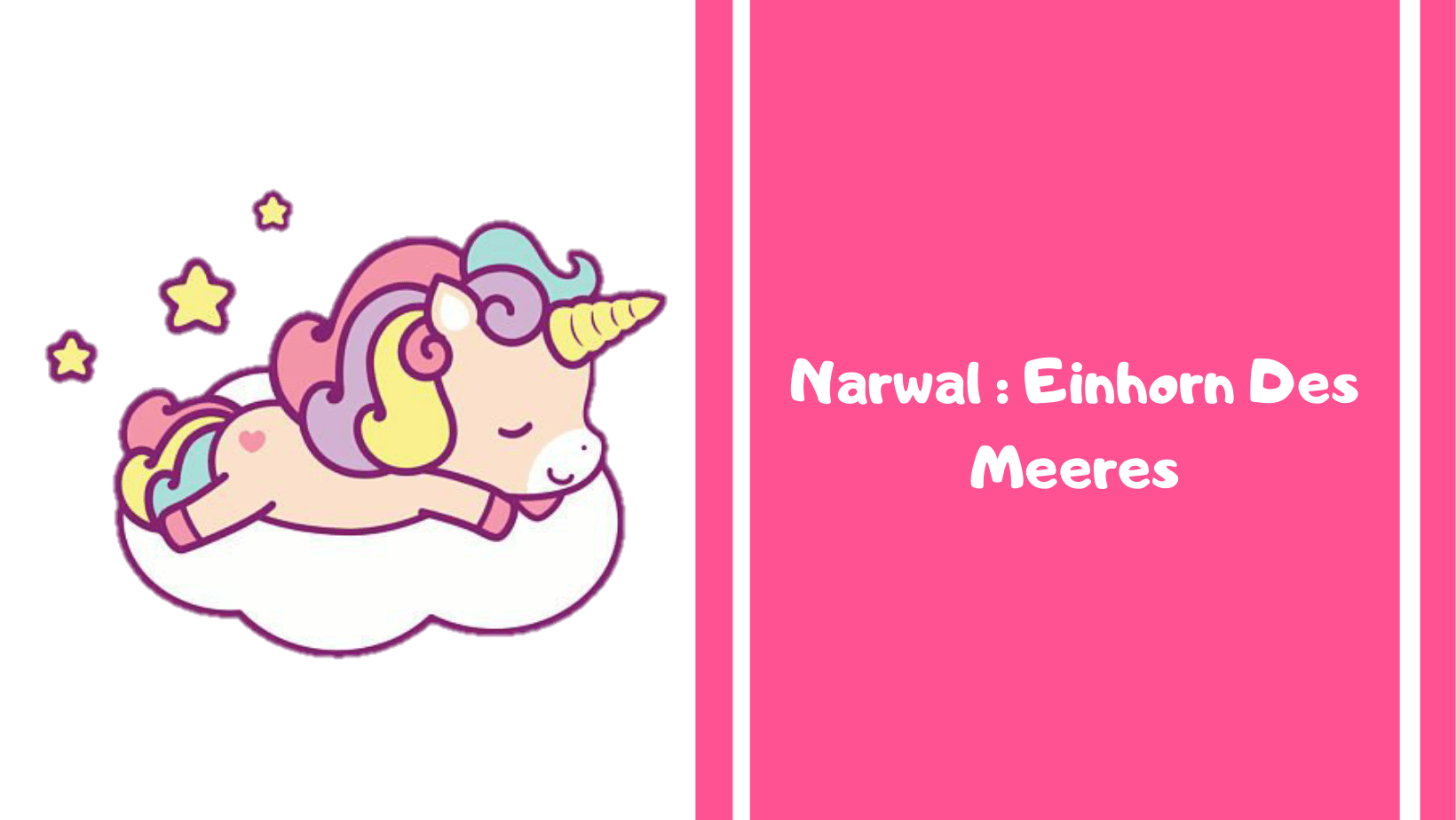 Narwal : Einhorn des Meeres