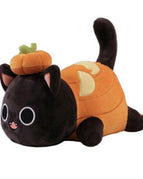 Pumpkin cat