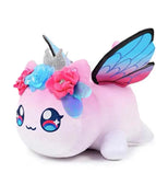 butterfly cat