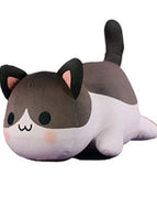 Gray cat