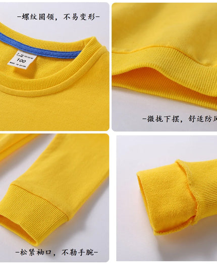 Dein zauberhafter Einhorn Pullover in Grau!